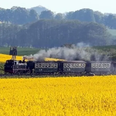 Möwe - B43323